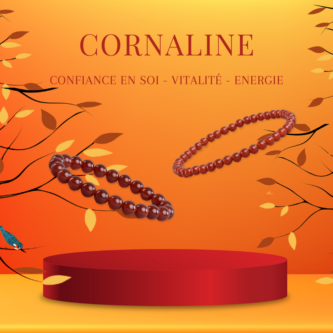 LITHOTHERAPIE - Bracelet Cornaline